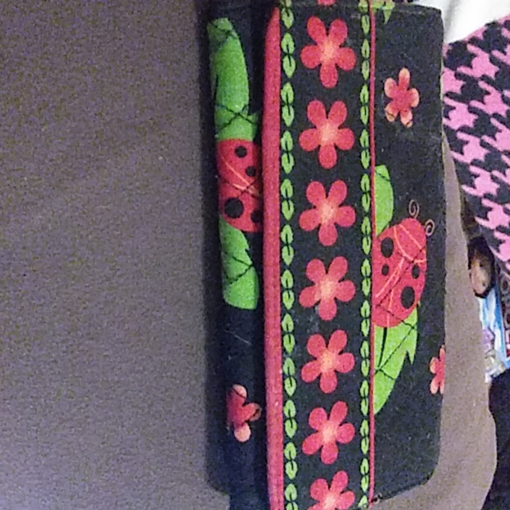 Ladybug wallet